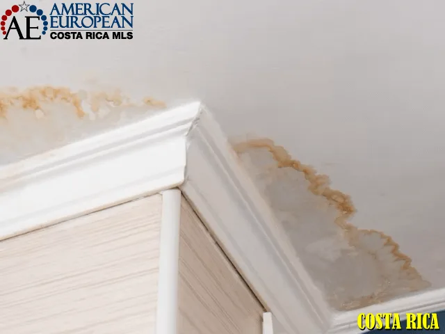 Roof leaks and water damage are responsibility of the landlord All About The Security Deposit When Renting