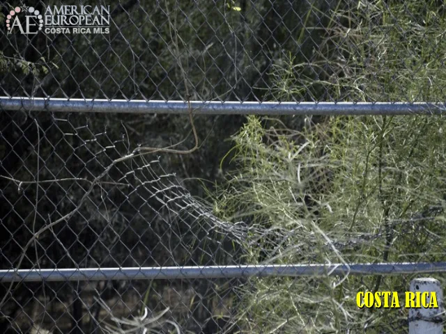 Mend your fence first 9 Touch ups that will help sell your home in Costa Rica