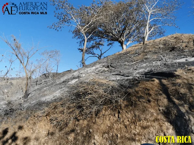 How to Encourage Non-Paying Neighbors to Pay HOA Fees When There Are No Bylaws