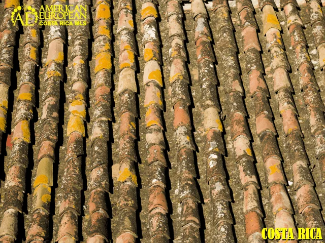 All About Roof Repairs and Maintenance in Costa Rica
