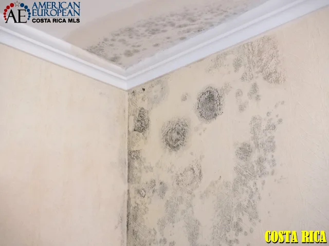 All About Roof Repairs and Maintenance in Costa Rica