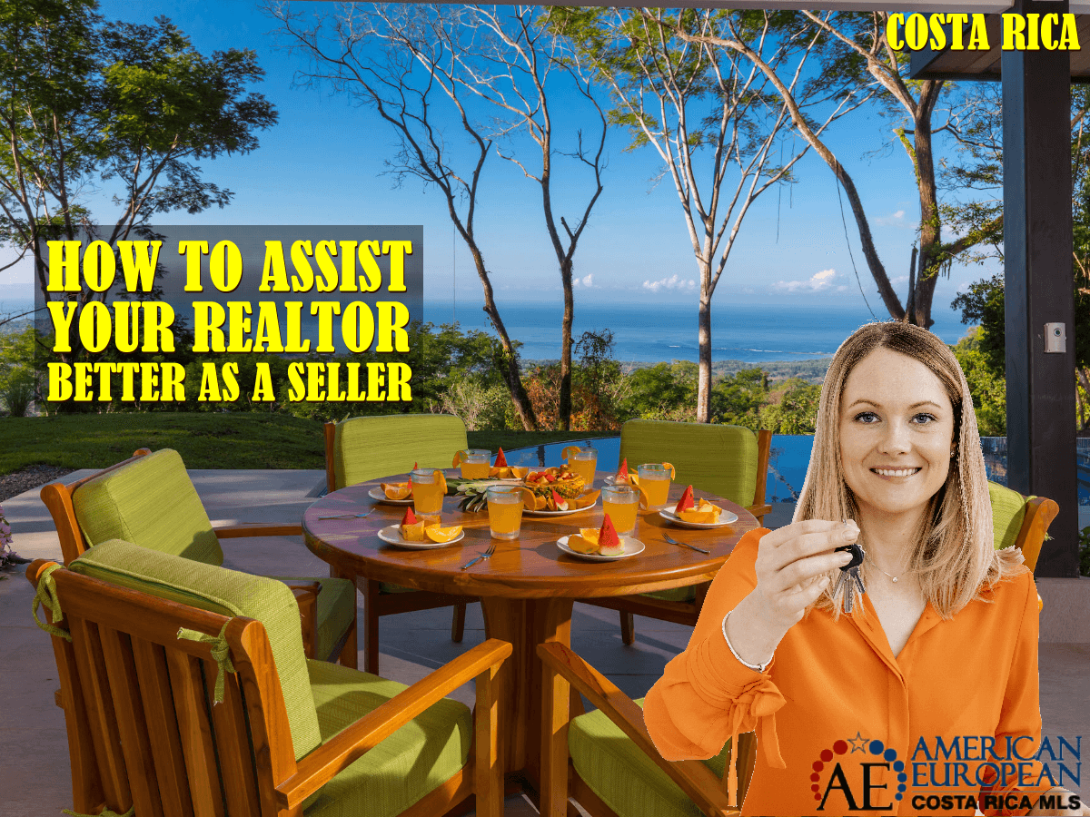 How can Sellers Assist their Realtor Best?