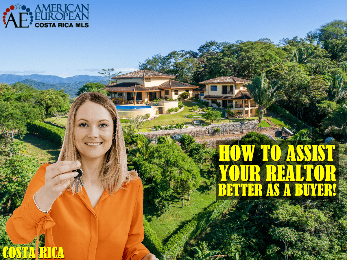 How to Assist Your Realtor Better as a Buyer