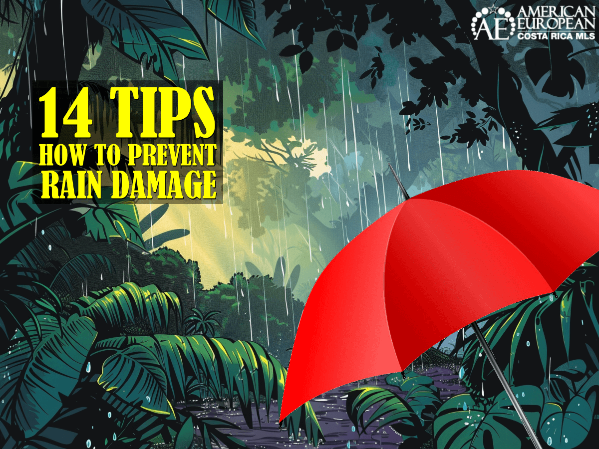 14 Tips on how to prevent rain damage to your property
